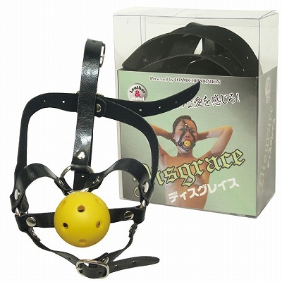 �f�B�X�O���C�X�iSM�E�S����j