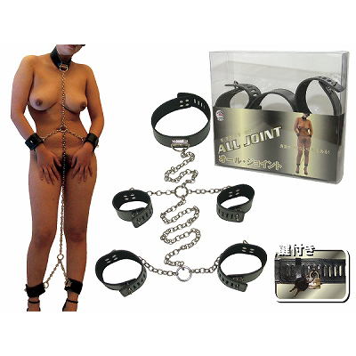 �I�[���E�W���C���g�iSM�E�S����j