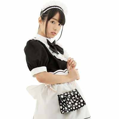 �~�j�|�V�F�b�g�@�u���b�N�i�R�X�`���[���j