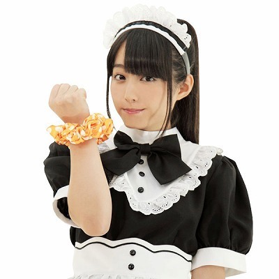 �V���V���@�I�����W�i�R�X�`���[���j