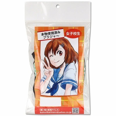 �{���g�p�ς݁@�i���q�Z���̃u���W���[�j�i����A�C�e���j