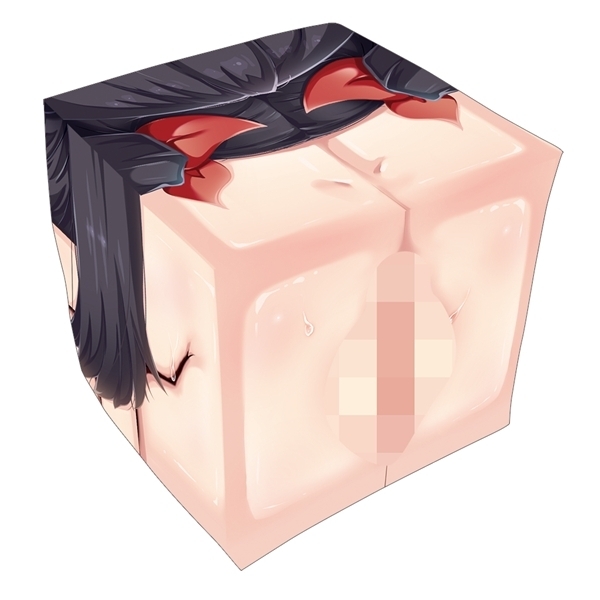 �����C���T�[�g�G�A�s���[�J�o�[���Q�@�����_�V���@�C���X�g�F�����V�m